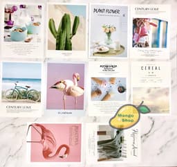 [MẪU MỚI] Poster 2 MẶT thời trang chụp look book phụ kiện chụp ảnh 8