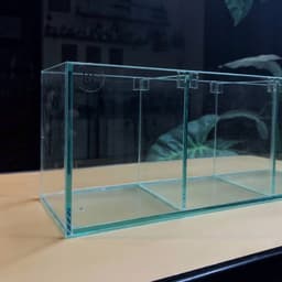 Bể Cá Betta Kích Thước 30x10x12cm Được Chia 3 Ngăn Tách Biệt | Kính Việt Nhật Dày 4mm | RF Aquarium 8