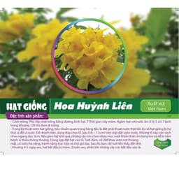 Gói 0.4gr hạt giống hoa Huỳnh Liên 2
