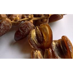 Gói 10 hạt giống cây chà là Thái Lan 2