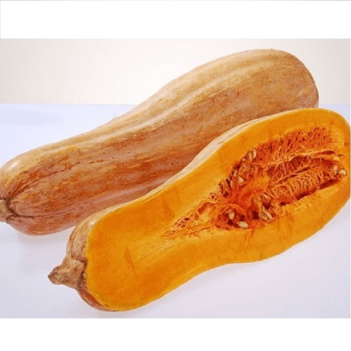 Gói 10g hạt giống bí đỏ dài_bí sáp