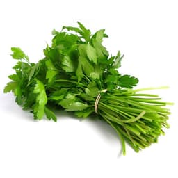 HẠT GIỐNG NGÒ HẠT LỚN Ngò Đỏ Mùi ta - 20gr 5