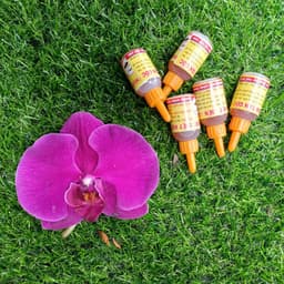 Combo 5 chai Thuốc diệt kiến, diệt gián sinh học hiệu quả, an toàn cho người và vật nuôi 2