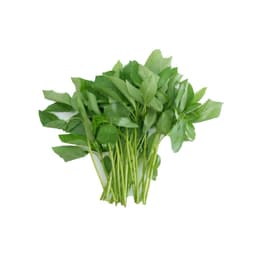 Gói 20g hạt giống rau đay trắng 1