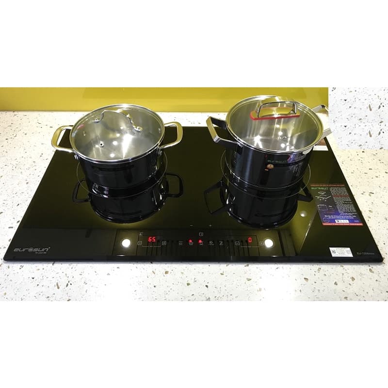 Bếp Từ Eurosun T256Max Bếp điện từ hồng ngoại Eurosun EU E259Max, Nhập khẩu Malaysia