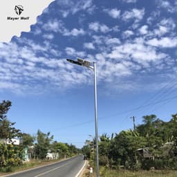Đèn lá năng lượng mặt trời Mayor Wolf 50w,100w 6