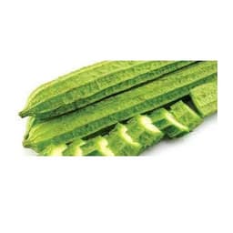 Gói 0.1g hạt giống mướp khía Thái Lan F1 SV 29 4