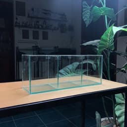 Bể Cá Betta Kích Thước 30x10x12cm Được Chia 3 Ngăn Tách Biệt | Kính Việt Nhật Dày 4mm | RF Aquarium 6