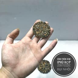 Giá thể ươm bucep, ráy, dương xỉ thủy sinh nhiều kích thước 5