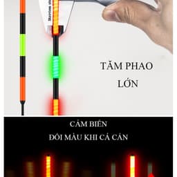 Phao Tiểu Phượng Hoàng Săn Hàng Ngày Đêm 2