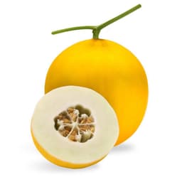 Gói 10 hạt giống dưa lê hồng kim 1