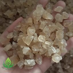 ✅[HÀNG LOẠI 1] Mủ Trôm 100gr Thượng Hạng Hàng Chất Lượng Thanh Nhiệt Giải Độc và Làm Đẹp Da 4
