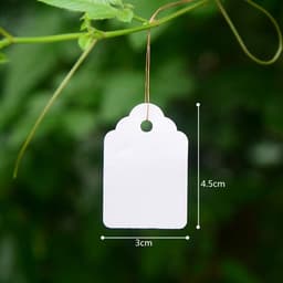 Bộ 100 thẻ tên đánh dấu cây chống nước 6