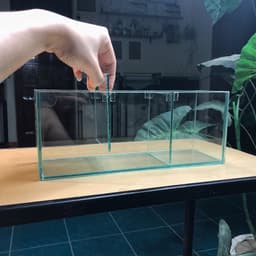 Bể Cá Betta Kích Thước 30x10x12cm Được Chia 3 Ngăn Tách Biệt | Kính Việt Nhật Dày 4mm | RF Aquarium 2