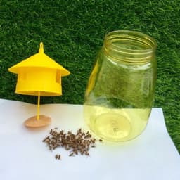 bẫy ruồi vàng kèm tuýp thuốc bẫy 4