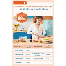 Máy khử trùng, tiệt trùng thực phẩm -rửa trái cây, rau củ quả, thịt, cá - Loại bỏ dư lượng thuốc bảo vệ thực vật 6