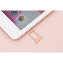 Khay Đựng Sim Thay Thế cho iPad 10.2" Gen 7/8/9 2019/2020/2021 bằng Thép như ZIN 4