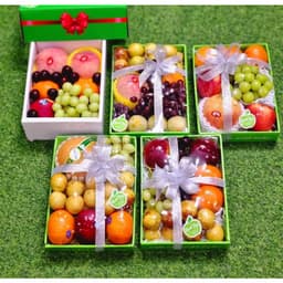 Combo 10 Màng co khay gỗ, khay hoa quả 8