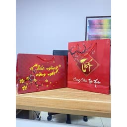 Túi Đựng Giỏ Quà Tết 2027 Loại nhỏ - Siêu sang - chịu lực 3