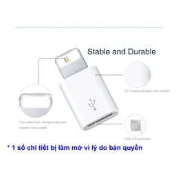 [Loại 1] Đầu Chuyển Biến Cáp MicroUSB thành Cáp LiNing- Đổi Cổng Li Ning Female Thành Cổng Cái MicroUSB Female Adapter 2