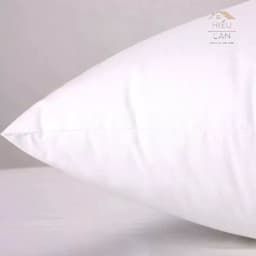 Ruột gối sofa vuông tựa lưng bông hạt cao cấp trang trí đủ kícḣ thước 45cm x45cm và kích thước 50 cm nhà miubeding 2