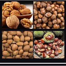 Dụng cụ mở hạt óc chó dày, dụng cụ bóc vỏ hạt óc chó đen, kẹp hạt, kìm bóc hạt óc chó 7