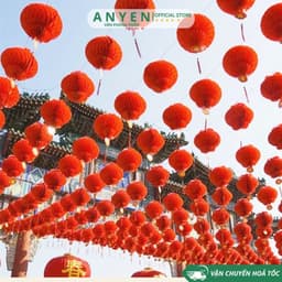Combo 10 Đèn lồng đỏ Nilon chữ Phúc treo trang trí Lễ Tết - đèn lồng ni lông chống thấm nước treo lễ hội Trung Thu 6