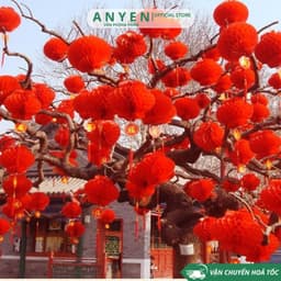 Combo 10 Đèn lồng đỏ Nilon chữ Phúc treo trang trí Lễ Tết - đèn lồng ni lông chống thấm nước treo lễ hội Trung Thu 4