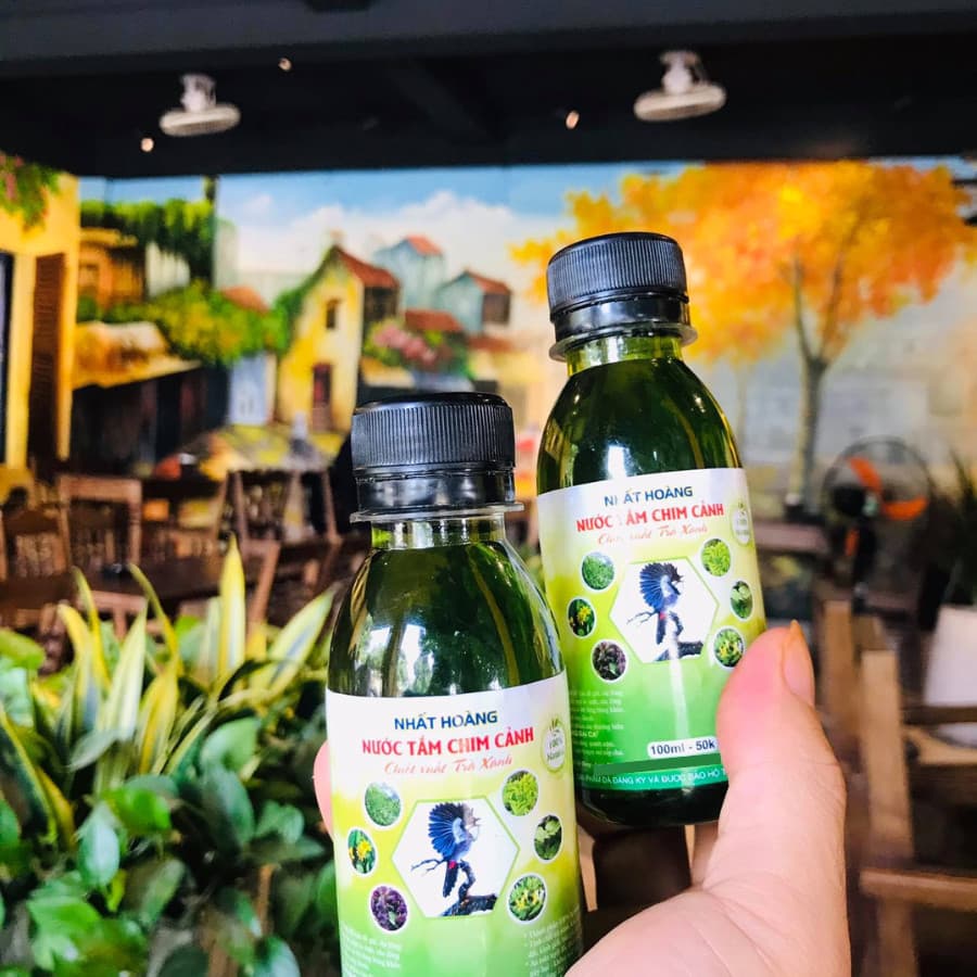 Nước tắm nhất hoàng cho chim nước tắm nhất hoàng