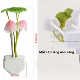 Đèn Ngủ Nấm Avatar Cảm Ứng Ánh Sáng Đổi Màu 6