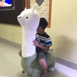 thú nhồi bông G.hế lạc đà Alpaca 110cm và 65cm decor trang trí phòng ngủ phòng khách 2