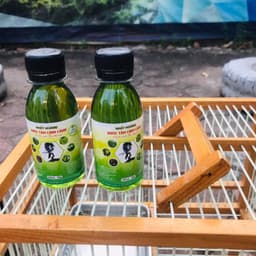 Nước tắm nhất hoàng cho chim nước tắm nhất hoàng 2