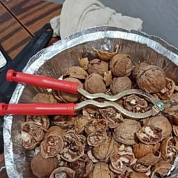 Pecan kẹp dụng cụ tách vỏ dụng cụ mở hạt óc chó kìm mở hạt dẻ Siberian nhỏ/Dụng cụ mở bóc vỏ đào vỏ quả óc chó màu xanh 6