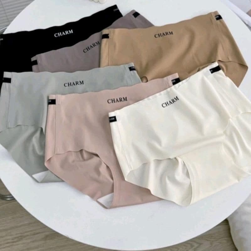 SET 5 _10 QUẦN LÓT NỮ SU ĐÚC LẠNH CAO CẤP CHARM Nhung Women