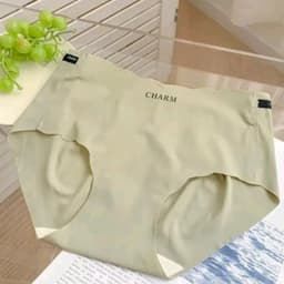 SET 5 _10 QUẦN LÓT NỮ SU ĐÚC LẠNH CAO CẤP CHARM Nhung Women 3