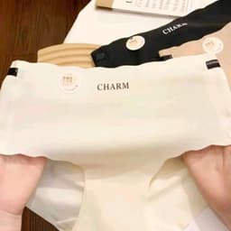 SET 5 _10 QUẦN LÓT NỮ SU ĐÚC LẠNH CAO CẤP CHARM Nhung Women 5