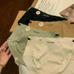 SET 5 _10 QUẦN LÓT NỮ SU ĐÚC LẠNH CAO CẤP CHARM Nhung Women 6