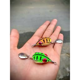 Combo Hộp Mồi Câu Lure 5 Mồi Đủ 3 Tầng Nước, Đa Dạng Địa Hình-Toman Ve Sầu,Chado H1 MiniThìa Lượn,Cá Sắt vufishing 4