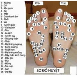 Dầu Cù Là Chống Đột Quỵ Thái Lan Massage Huyệt Bàn Chân 50g 4
