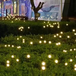 Đèn Đom Đóm Năng Lượng Mặt Trời - 10 Bóng - Đèn Trang Trí Sân Vườn - Đèn Led Trang Trí Ngoài Trời-- 6