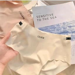 SET 5 _10 QUẦN LÓT NỮ SU ĐÚC LẠNH CAO CẤP CHARM Nhung Women 4