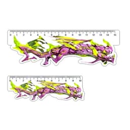 Mô hình Thước Kẻ FF Học Sinh - Sinh Viên 10CM - 15CM NLP shop 2