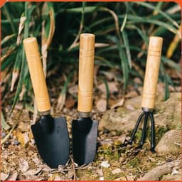 Dụng cụ làm vườn mini,Bộ dụng cụ làm vườn mini cao cấp 3 món cán gỗ, làm vườn trồng cây cảnh bonsai 7