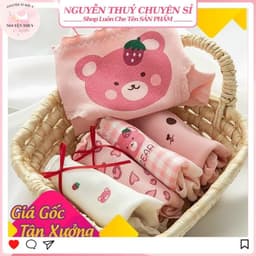 Set 20 Quần Lót Nữ Cotton 💥 HÀNG CAO CẤP 💥 Quần Chip Cute Tăm Mềm Gấu Bee Hồng Thoáng Khí Co Dãn Kháng Khuẩn C18 1