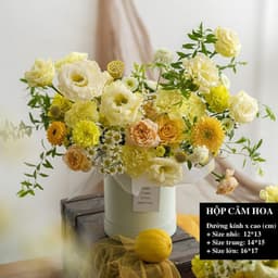 Hộp trụ tròn dùng để cắm hoa, trang trí HMHQ006 5