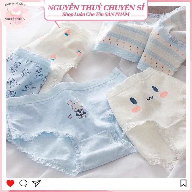 Combo 15 Quần Lót Nữ Cotton 💥 HÀNG CAO CẤP 💥 Quần Chip Nữ Cute Thỏ Con Xinh Yêu Ngang Eo 8015