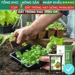 Đất Trồng Rau Tơi Xốp, Bao 2kg, Hữu Cơ, Trộn Sẵn, Tiện Lợi, Đầy Đủ Dinh Dưỡng, Chuyên Cho Rau 5