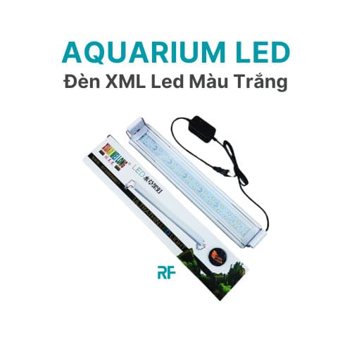 Đèn led XML phù hợp bể cá mini thuỷ sinh ánh sáng trắng