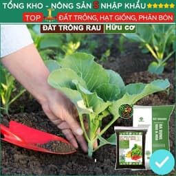 Đất Trồng Rau Tơi Xốp, Bao 2kg, Hữu Cơ, Trộn Sẵn, Tiện Lợi, Đầy Đủ Dinh Dưỡng, Chuyên Cho Rau 8