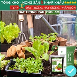 Đất Trồng Rau Tơi Xốp, Bao 2kg, Hữu Cơ, Trộn Sẵn, Tiện Lợi, Đầy Đủ Dinh Dưỡng, Chuyên Cho Rau 2